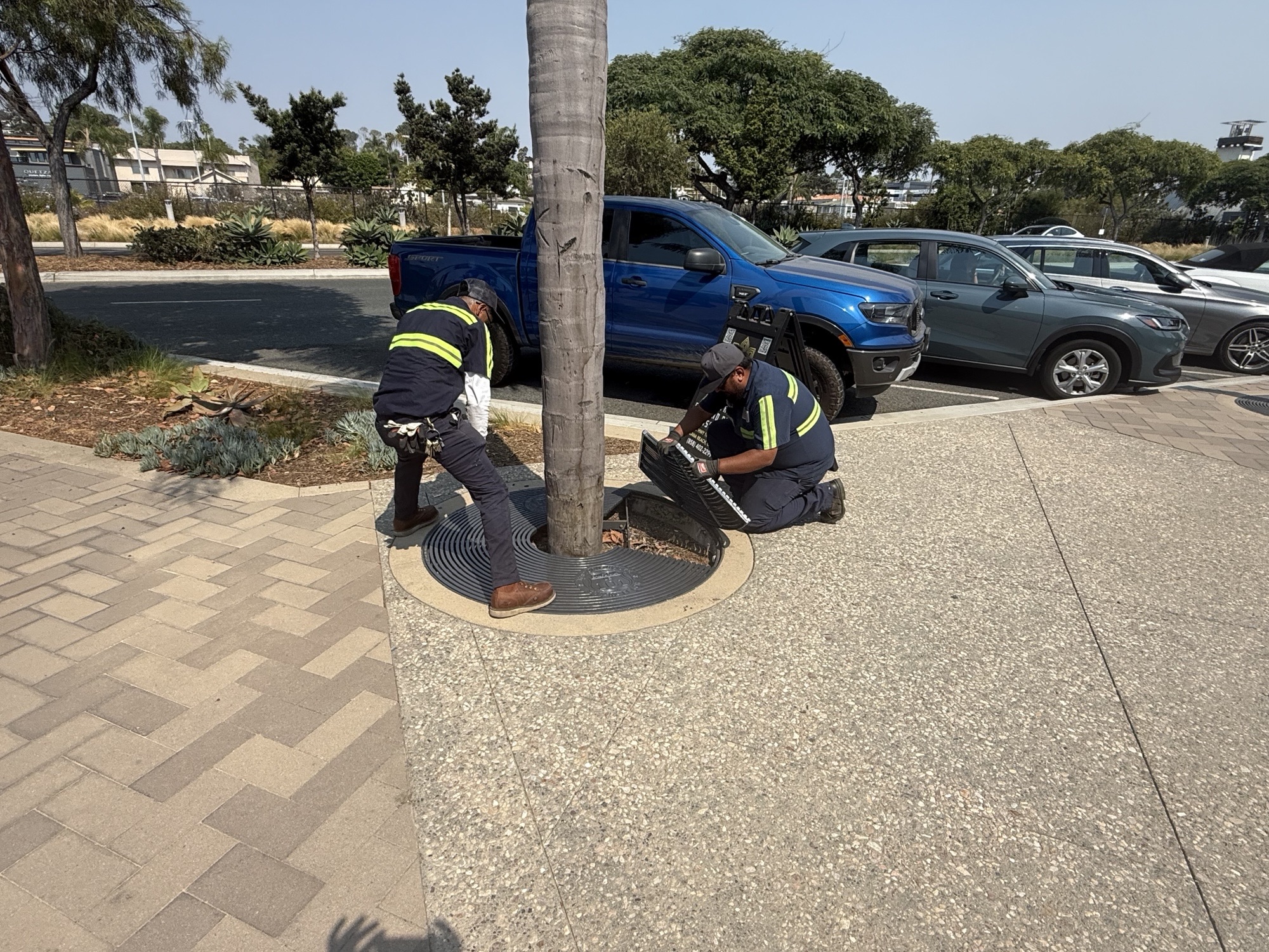 Tree Grate Replacement Project Underway on Highway 101
