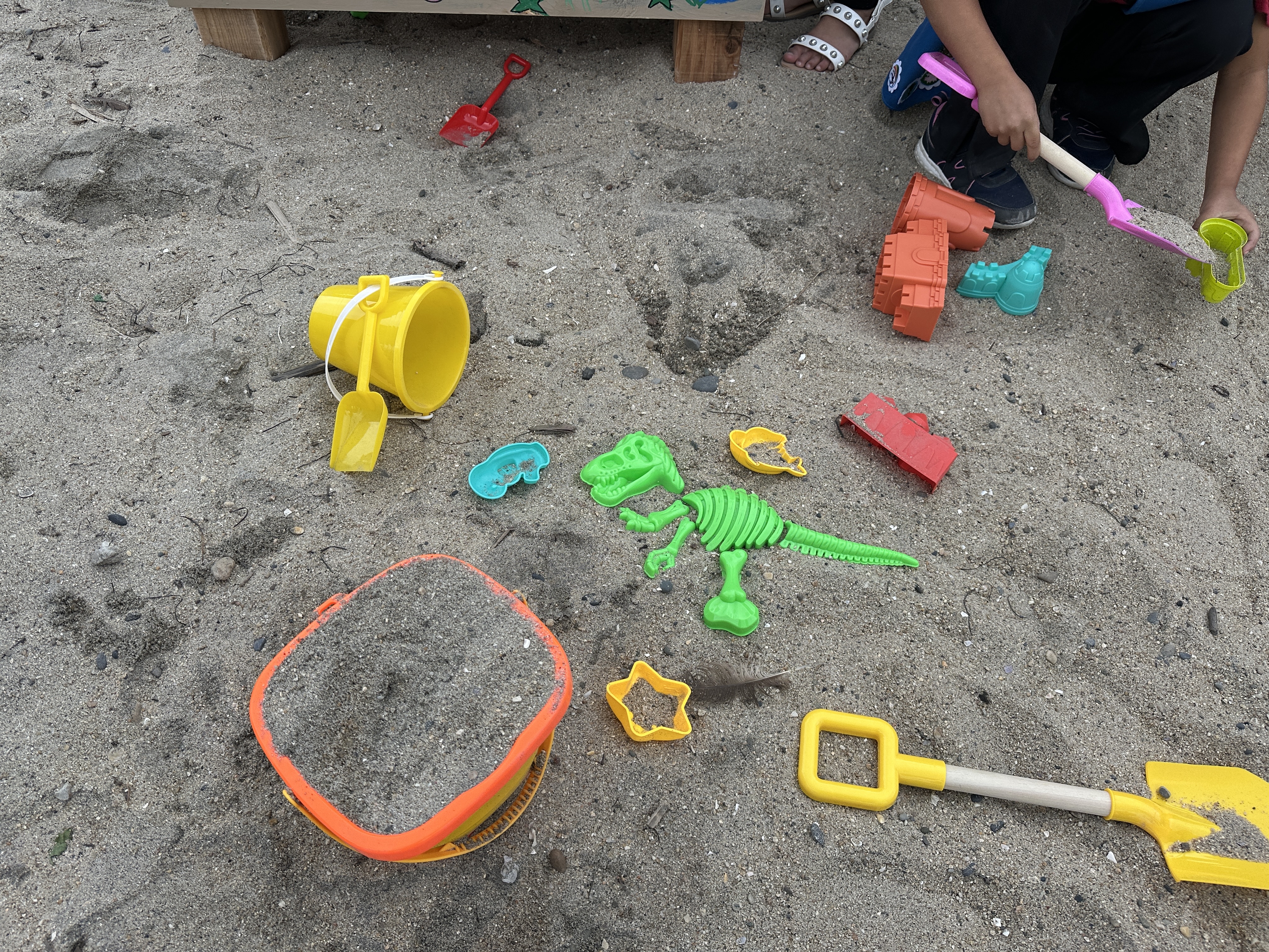beach toy box
