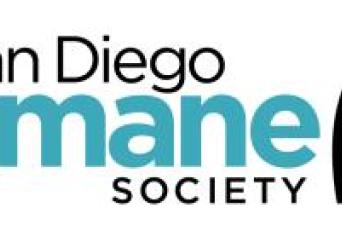 Pet Tips for a Safe 4th of July 