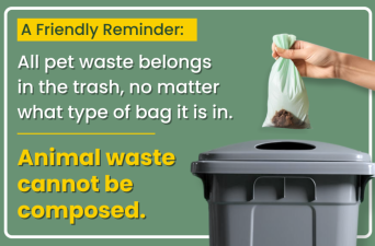 A Reminder to Properly Dispose of Pet Waste