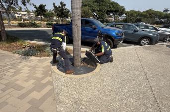 ​​​​​​Tree Grate Replacement Project Underway on Highway 101