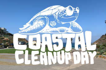 Coastal Cleanup